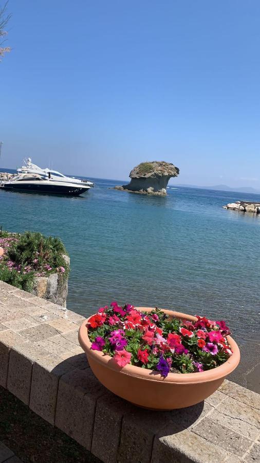 Villa Martina Suite Apartament Lacco Ameno  Exteriör bild