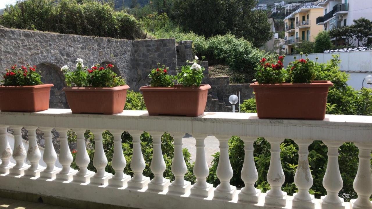 Villa Martina Suite Apartament Lacco Ameno  Exteriör bild